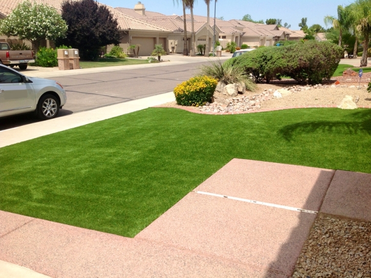 Artificial Turf Lakeside, Colorado City Landscape, Front Yard Landscaping