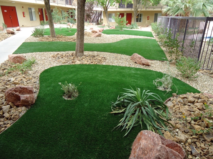 Artificial Turf Mount Crested Butte, Colorado Landscaping Business, Commercial Landscape