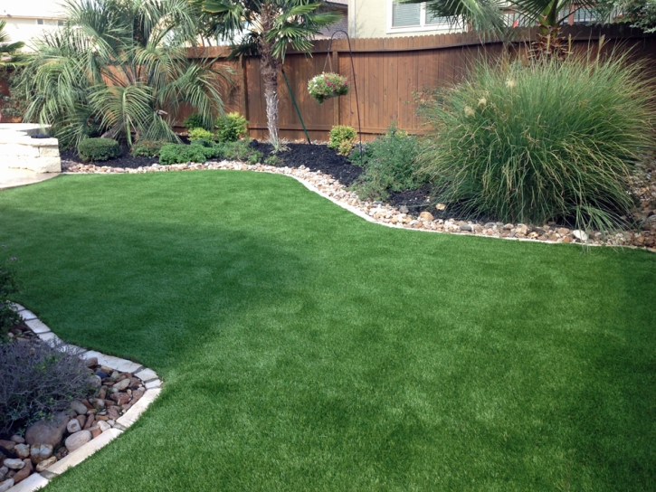 Artificial Turf New Castle, Colorado Watch Dogs, Backyard Landscaping