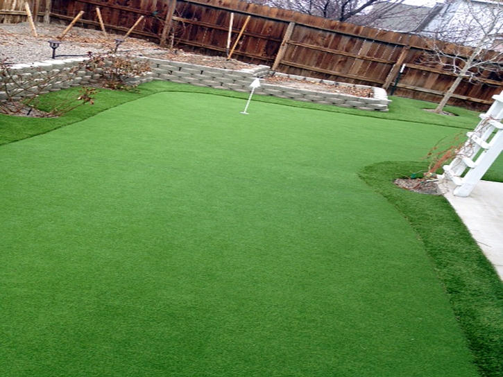 Artificial Turf Olney Springs, Colorado Indoor Putting Green, Backyard Ideas