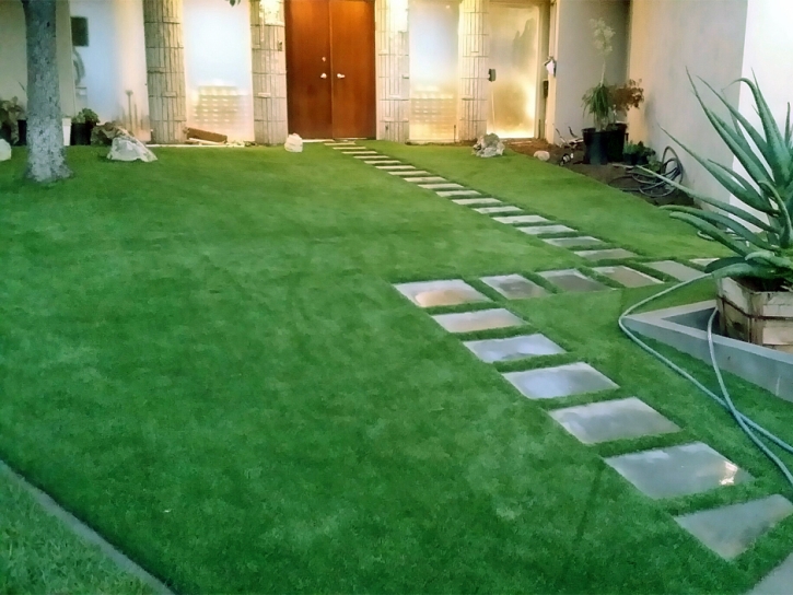 Artificial Turf Romeo, Colorado Lawn And Garden, Front Yard Ideas