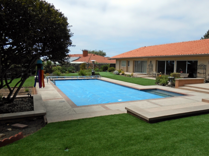 Artificial Turf Vernon, Colorado Paver Patio, Backyards