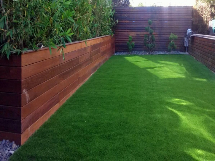 Artificial Turf Walden, Colorado Backyard Playground, Backyard Landscaping Ideas