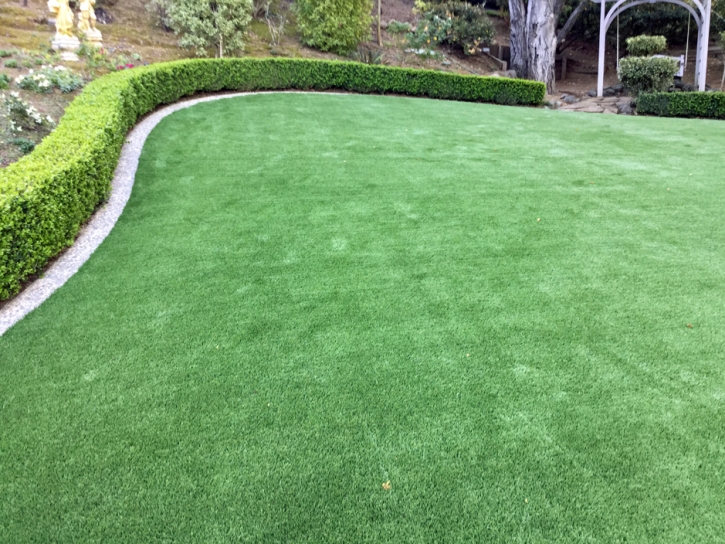 Artificial Turf Walsenburg, Colorado Lawn And Landscape, Backyard