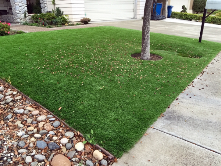 Best Artificial Grass Avon, Colorado Landscape Design, Front Yard Landscape Ideas