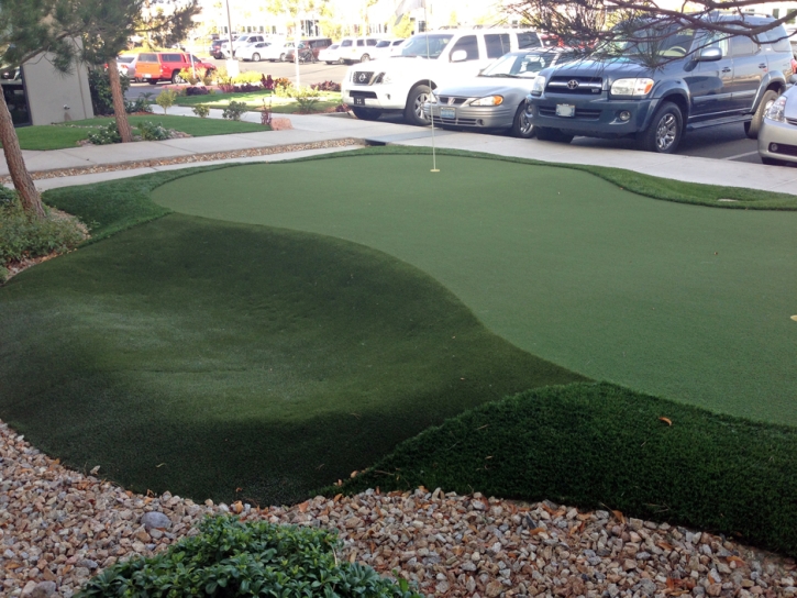 Best Artificial Grass Castle Pines, Colorado Gardeners, Commercial Landscape