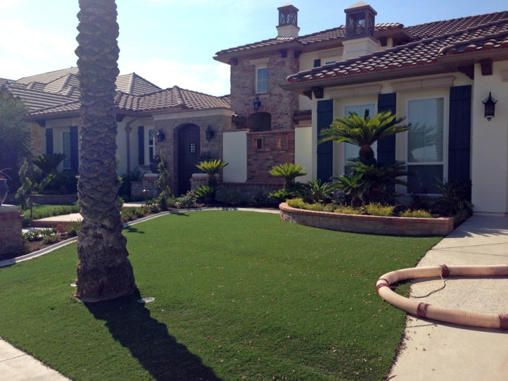 Best Artificial Grass Eaton, Colorado Landscaping, Small Front Yard Landscaping