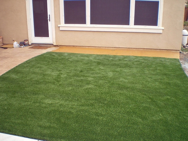 Best Artificial Grass Goldfield, Colorado Design Ideas, Backyard Garden Ideas