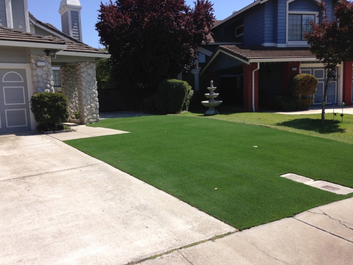 Best Artificial Grass Grand Lake, Colorado City Landscape, Front Yard