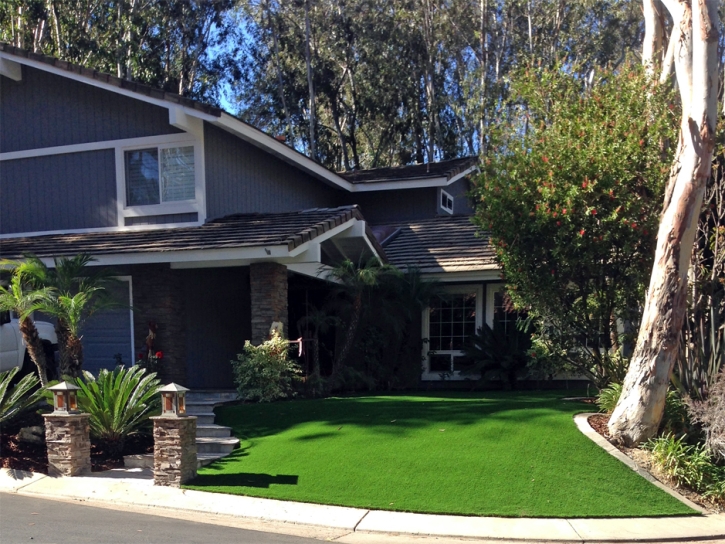 Best Artificial Grass Hugo, Colorado Landscape Ideas, Landscaping Ideas For Front Yard