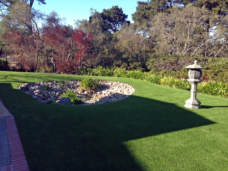 Best Artificial Grass Ken Caryl, Colorado City Landscape, Backyards