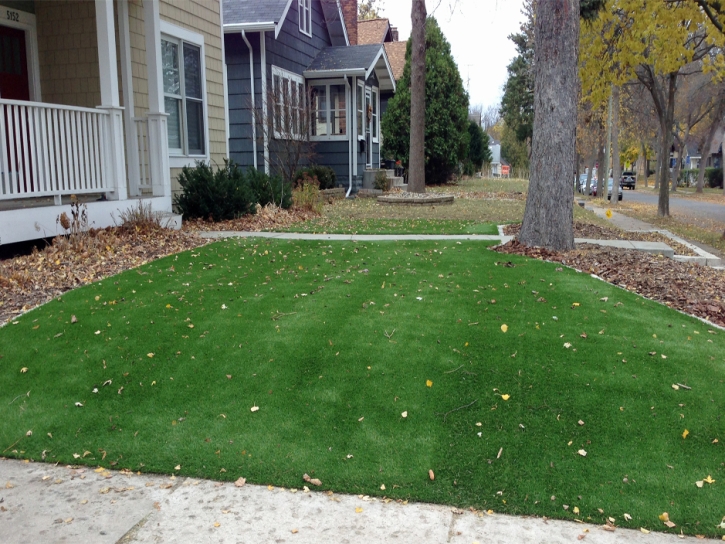 Best Artificial Grass Limon, Colorado Backyard Playground, Front Yard Design