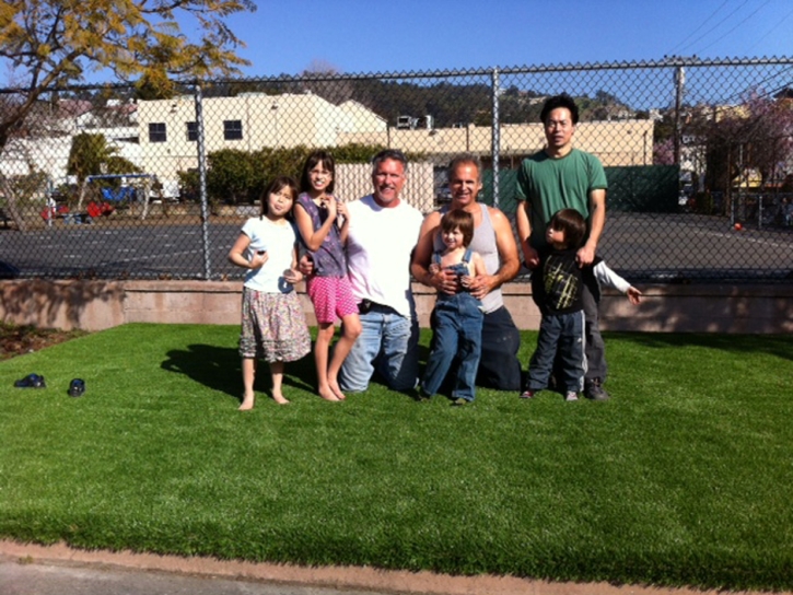 Best Artificial Grass Maysville, Colorado Landscape Design, Commercial Landscape