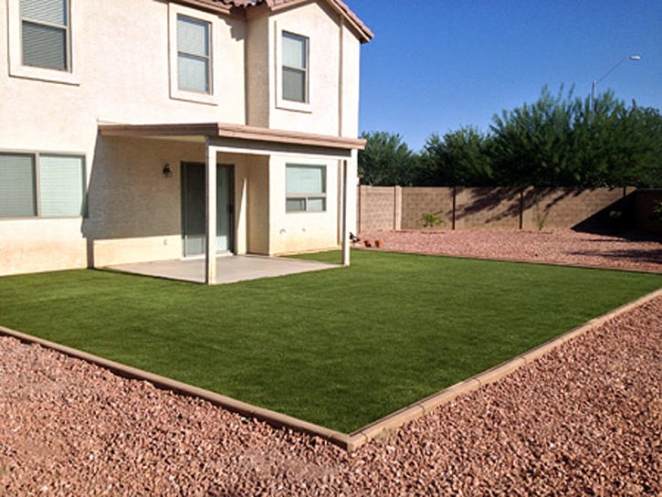 Best Artificial Grass Otis, Colorado Gardeners, Beautiful Backyards