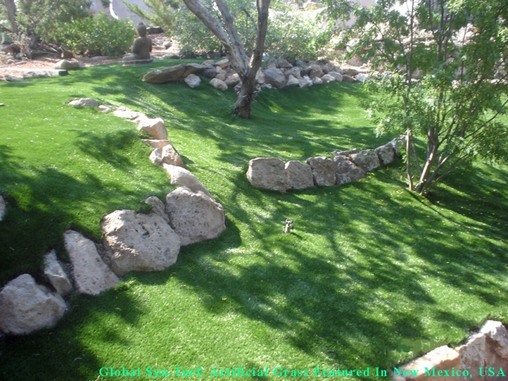 Fake Grass Berkley, Colorado Landscape Ideas, Commercial Landscape