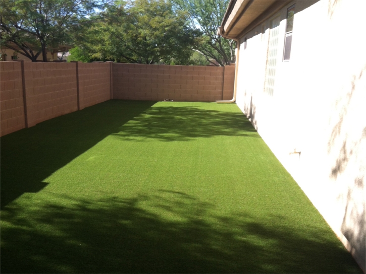 Fake Grass Carpet Acres Green, Colorado Landscaping Business, Small Front Yard Landscaping