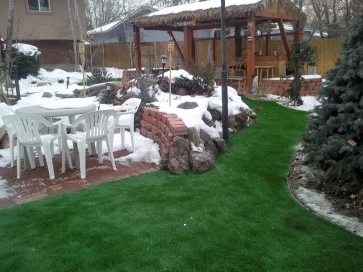 Fake Grass Carpet Centennial, Colorado Paver Patio, Small Backyard Ideas