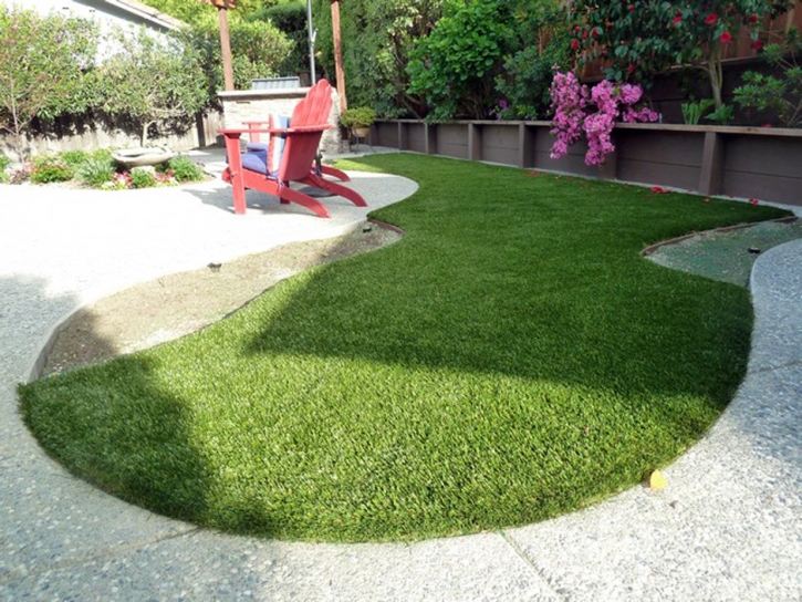 Fake Grass Carpet Eads, Colorado Dog Running, Beautiful Backyards