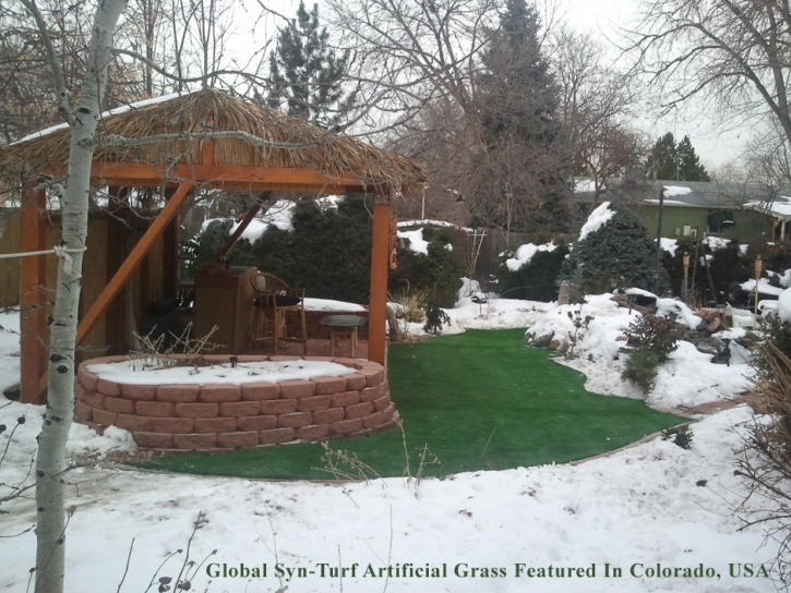 Fake Grass Carpet Federal Heights, Colorado Lawn And Garden, Backyard Landscaping