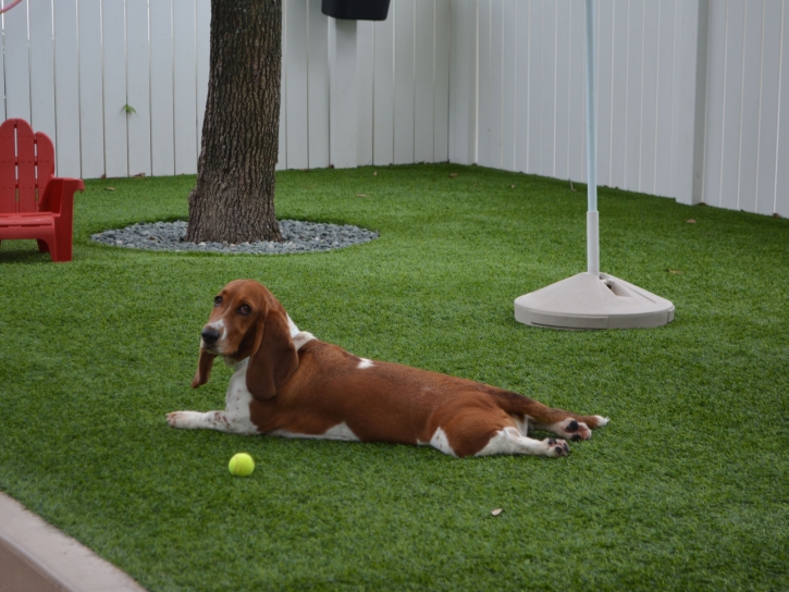 Fake Grass Carpet Lake City, Colorado Drainage, Grass for Dogs