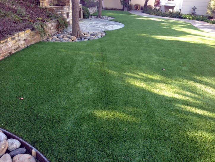 Fake Grass Carpet Lochbuie, Colorado Gardeners, Backyard Landscaping