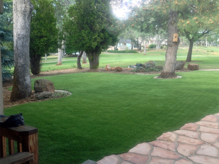 Fake Grass Carpet Log Lane Village, Colorado Lawn And Landscape, Front Yard Ideas