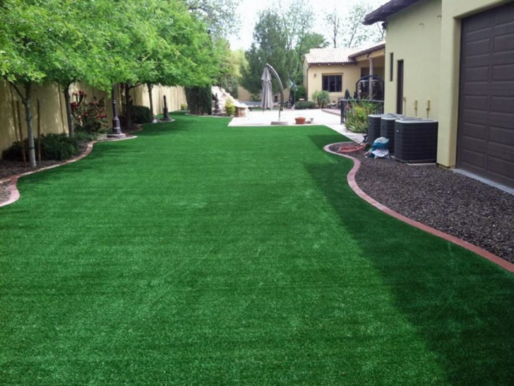 Fake Grass Carpet Meridian, Colorado Garden Ideas, Backyard Ideas