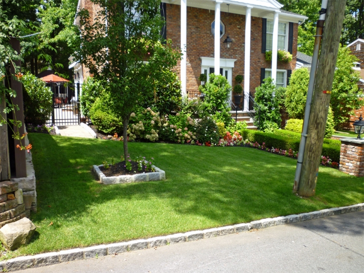 Fake Grass Carpet Merino, Colorado Roof Top, Small Front Yard Landscaping