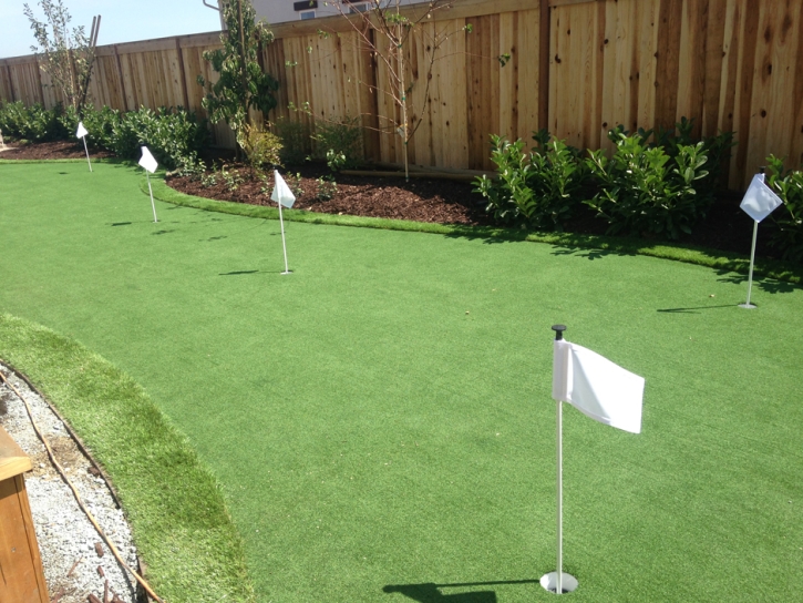 Fake Grass Carpet Nunn, Colorado How To Build A Putting Green, Backyard Landscaping