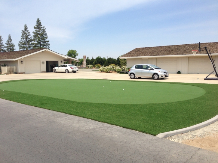 Fake Grass Carpet Pierce, Colorado Landscape Photos, Front Yard Landscaping