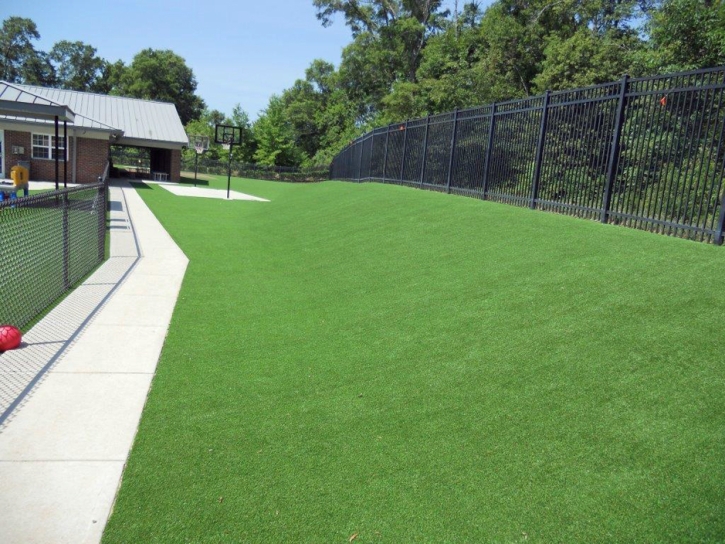 Fake Grass Carpet Ramah, Colorado Landscape Rock, Commercial Landscape