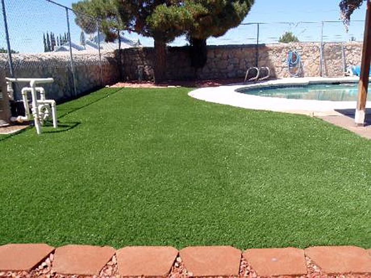 Fake Grass Carpet Ramah, Colorado Home And Garden, Swimming Pools