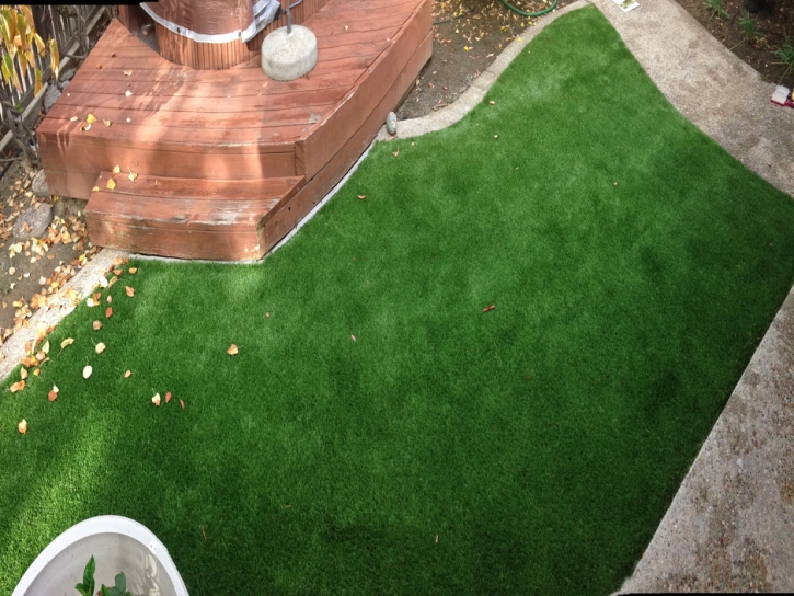 Fake Grass Carpet Rock Creek Park, Colorado Landscape Rock, Backyard Designs