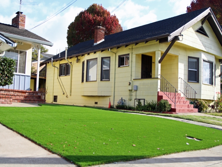 Fake Grass Carpet Saguache, Colorado Rooftop, Front Yard Landscape Ideas