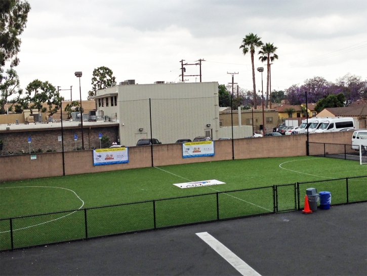 Fake Grass Castle Pines, Colorado Stadium, Commercial Landscape