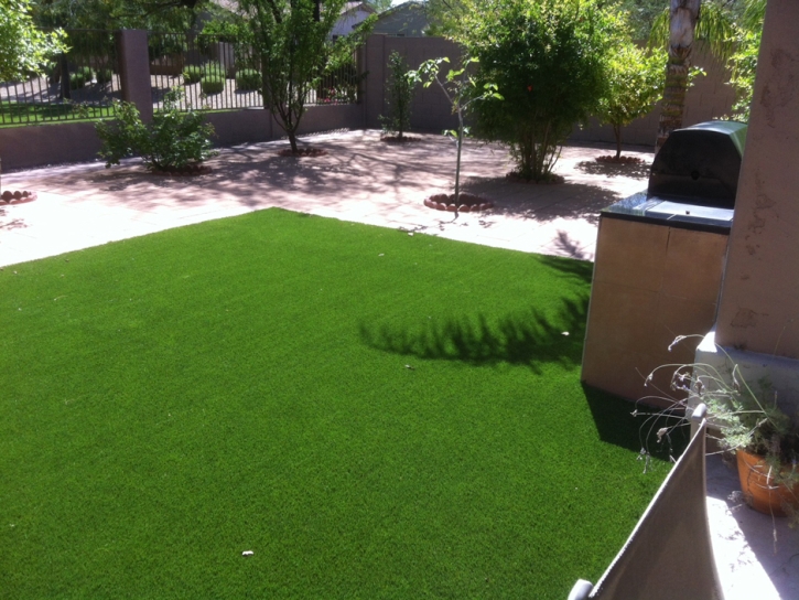 Fake Grass Cheyenne Wells, Colorado Pet Turf, Dog Kennels