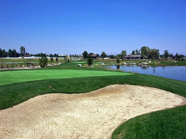 Fake Grass Del Norte, Colorado Indoor Putting Green, Backyard