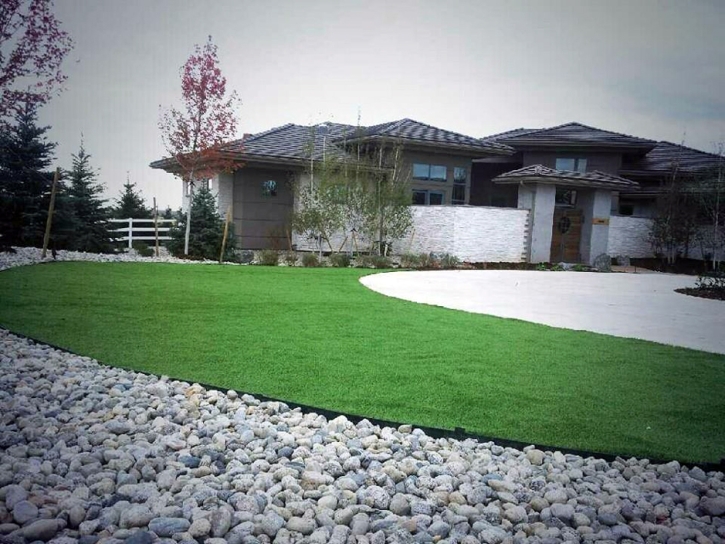 Fake Grass Eagle, Colorado City Landscape, Landscaping Ideas For Front Yard