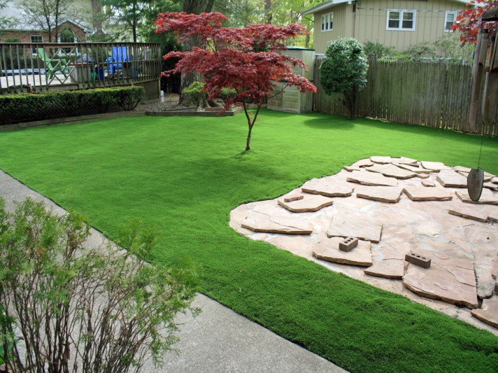 Fake Grass Fowler, Colorado Landscaping, Backyard