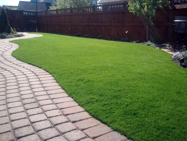 Fake Grass Frederick, Colorado Dog Run, Backyard Landscaping Ideas