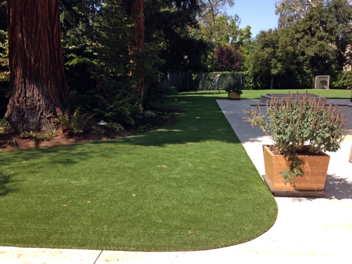 Fake Grass Hot Sulphur Springs, Colorado Cat Grass, Front Yard Landscaping Ideas