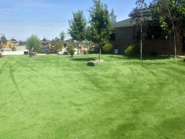 Fake Grass Johnstown, Colorado Gardeners, Recreational Areas