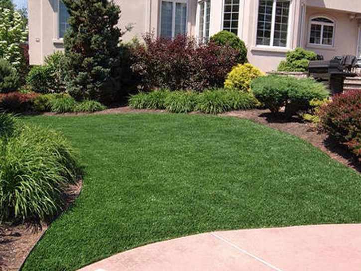 Fake Grass Larkspur, Colorado Landscaping, Front Yard Landscaping