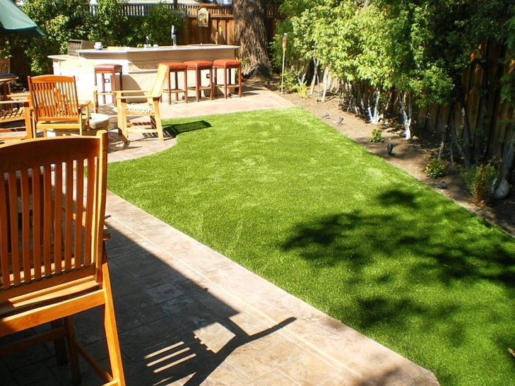 Fake Grass Mead, Colorado Landscape Photos, Backyard Designs