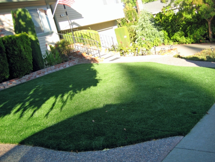 Fake Grass Meridian, Colorado Rooftop, Front Yard