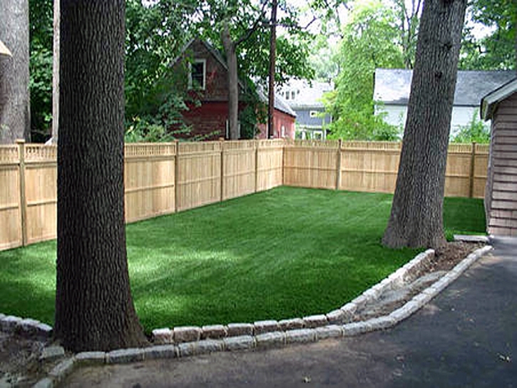 Fake Grass Paonia, Colorado Home And Garden, Backyard Garden Ideas