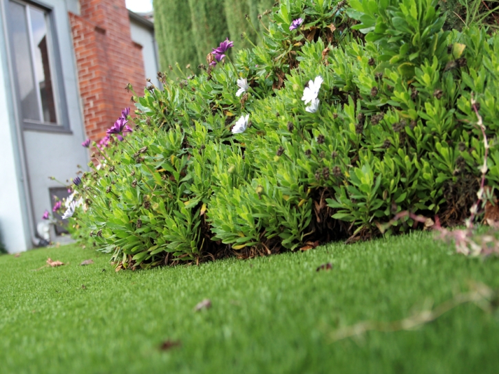 Fake Grass Simla, Colorado Rooftop, Small Front Yard Landscaping