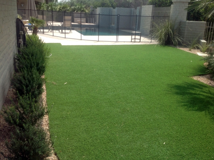 Fake Grass Sugarloaf, Colorado Landscaping, Swimming Pool Designs