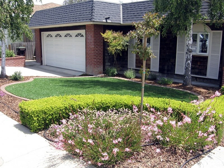 Fake Lawn Basalt, Colorado Lawn And Landscape, Landscaping Ideas For Front Yard