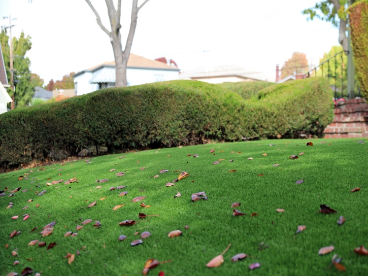 Fake Lawn Blue River, Colorado Lawns, Front Yard